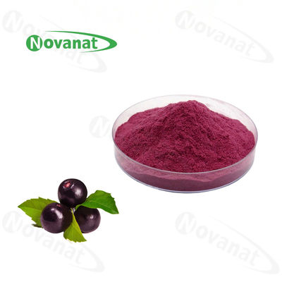 巴西莓提取物花青素草本提取物粉末强效抗氧化剂