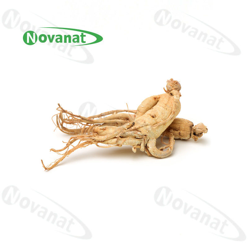 Ginseng Rootlets 有机干草提高免疫力 / 食品补充剂