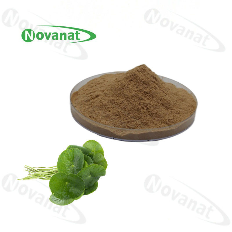 无过无过敏原 Gotu Kola Extract Asiaticoside 5% - 90% / Total Triterpenes 10% - 80% / Clean Label